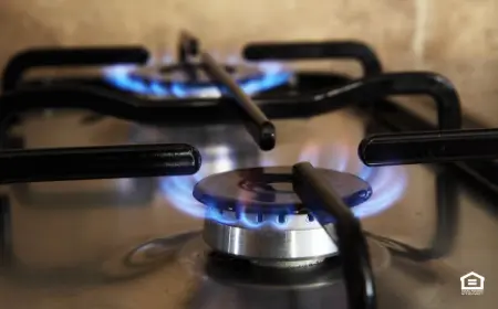 natural gas stove